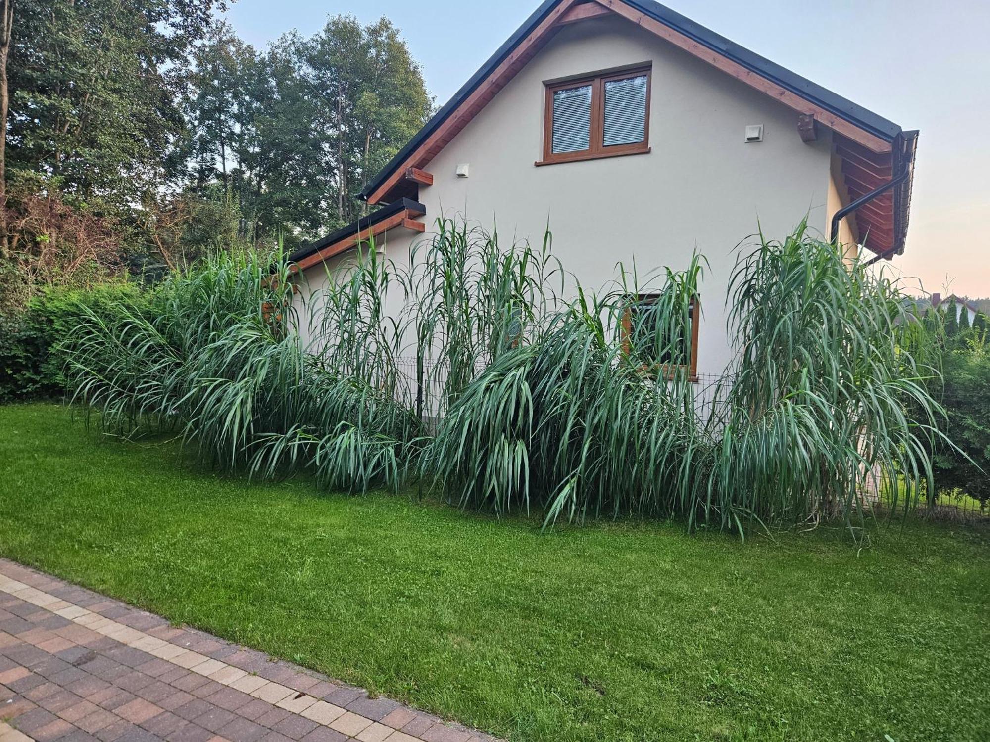 Osada Cztery Pory Roku -Dom Lato Villa Kopalino Eksteriør billede